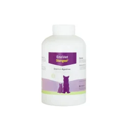 Stangest Enzivet Suplemento Digestivo 300 comprimidos