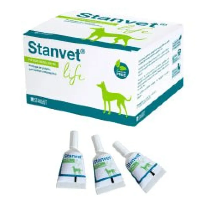 Stangest Floravet Complex Suplemento Digestivo 25 sobres de 2g