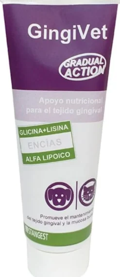 Stangest Gingivet Pasta Salud Dental 100gr