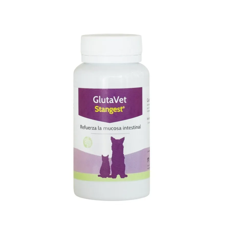 Stangest Glutavet Suplemento 60 comprimidos
