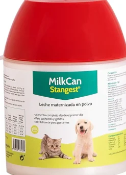 Stangest Leche Maternizada en Polvo 400g