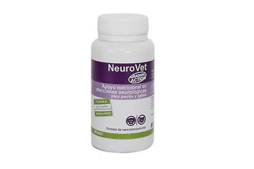 Stangest Neurovet Comprimido 300 ud