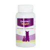 Stangest Oncovet 60 Comprimidos