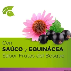 STREPHERBAL Saúco y Equinácea sabor Frutas del Bosque 16 pastillas de chupar