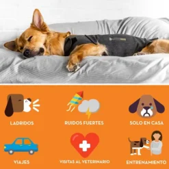ThunderShirt Chaleco Antiestrés para Perros XS 1 unidad
