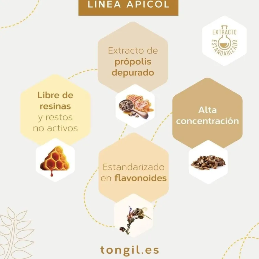 Tongil Apicol Extracto Própolis Y Equinácea 60 ml