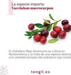 Tongil Estado Puro Cranberry Complex 30 Vcaps