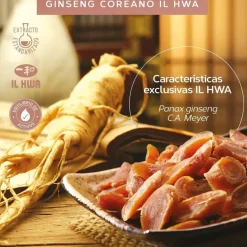 Tongil Ginseng Tarro IL Hwa 100 Cápsulas