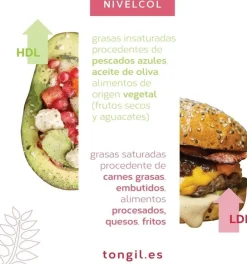 Tongil Nivelcol 60 Cápsulas
