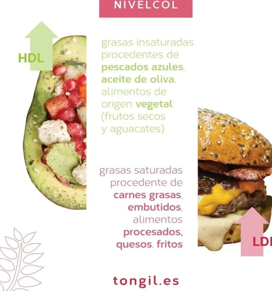 Tongil Nivelcol 60 Cápsulas