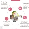 Tongil Nivelcol 120 Cápsulas
