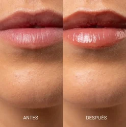 Transparent Lab Tinted Lipgloss Spf - Terracotta 15ml