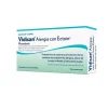 Vidisan Alergia con Ectoina Colirio 20 monodosis
