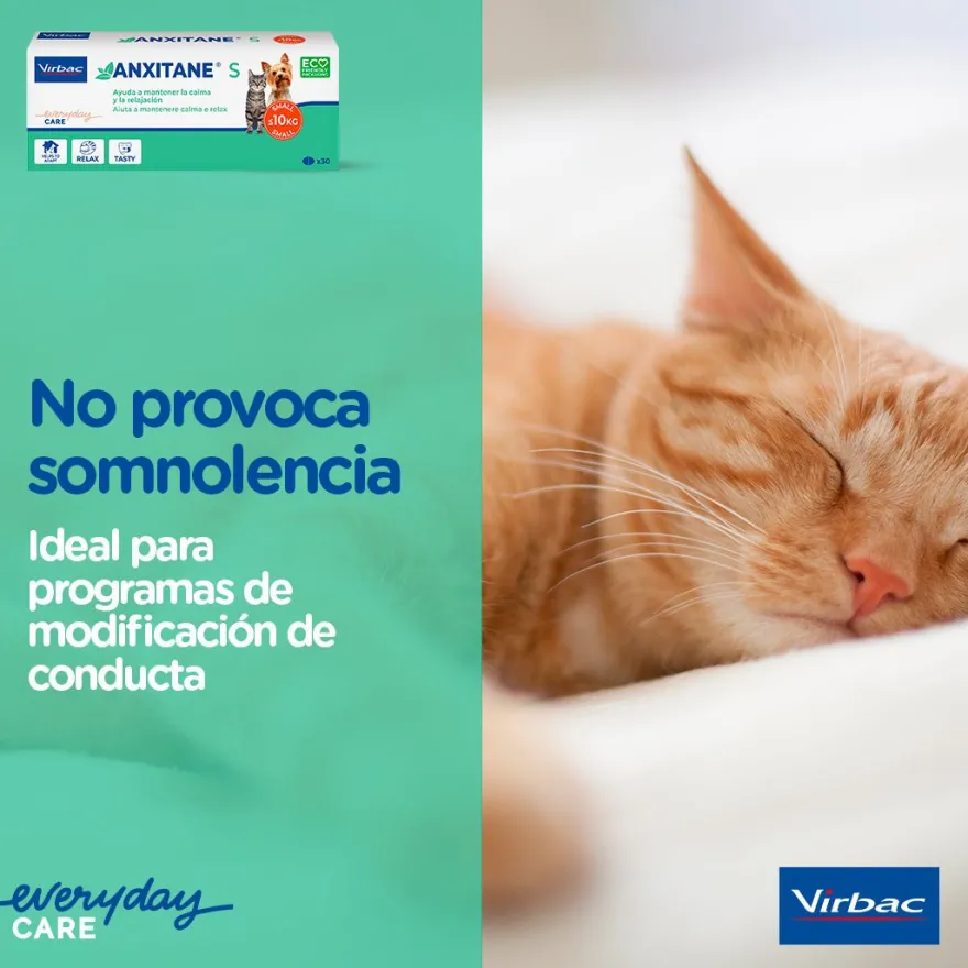 Virbac Anxitane S Suplemento Nutricional Antipánico 30 comprimidos