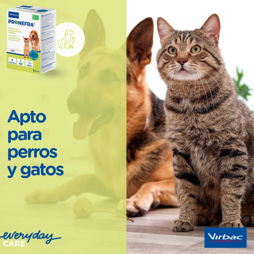 Virbac Pronefra Suplemento Nutricional Líquido 180ml