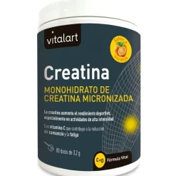 Vitalart Creatina 256 g