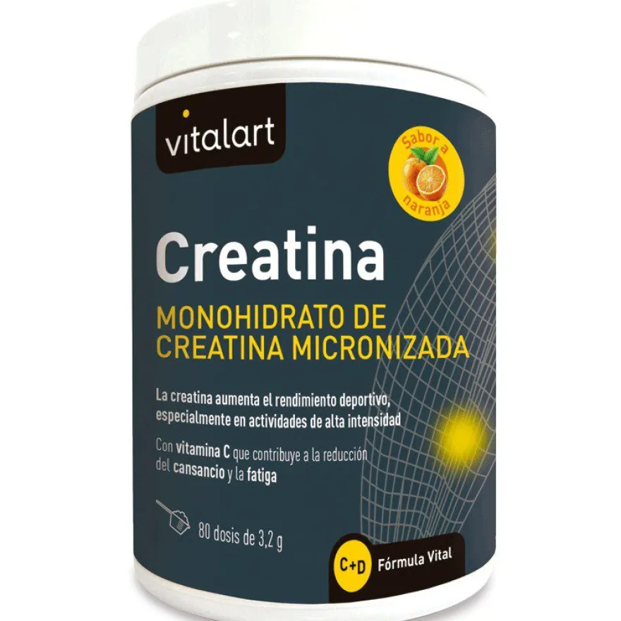 Vitalart Creatina 256 g