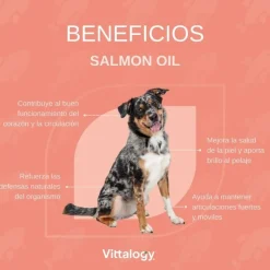 Vittalogy Aceite de Salmón para Perros y Gatos Triplo 3x500ml