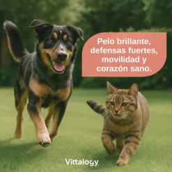 Vittalogy Aceite de Salmón para Perros y Gatos 500ml