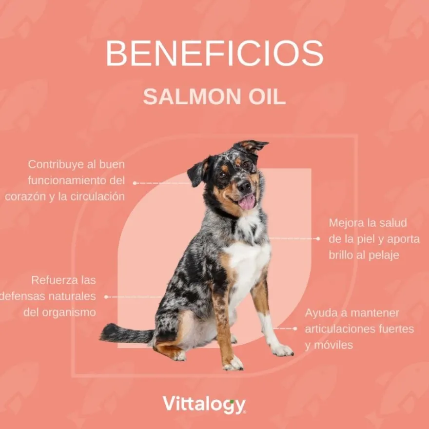 Vittalogy Aceite de Salmón para Perros y Gatos 500ml