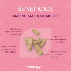 Vittalogy Andine Maca Complex 120 Cápsulas