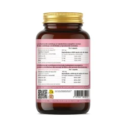 Vittalogy Andine Maca Complex 120 Cápsulas