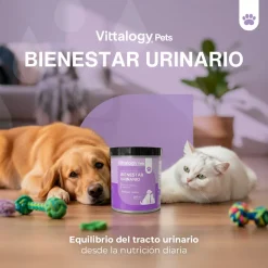 Vittalogy Bienestar Urinario Polvo 100gr