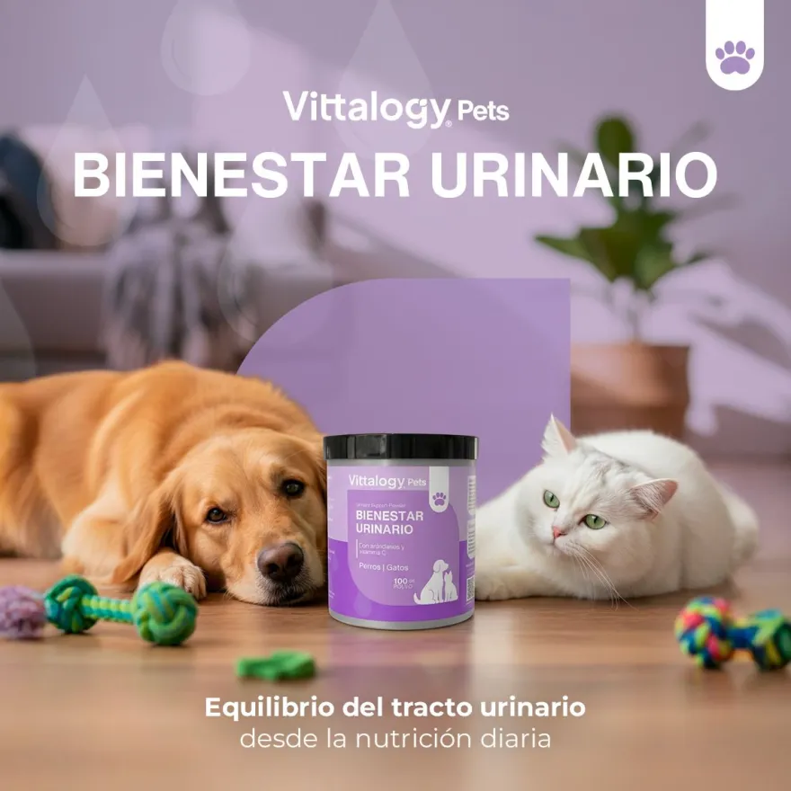 Vittalogy Bienestar Urinario Polvo 100gr
