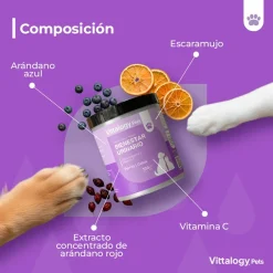 Vittalogy Bienestar Urinario Polvo 100gr