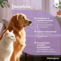 Vittalogy Bienestar Urinario Polvo 100gr