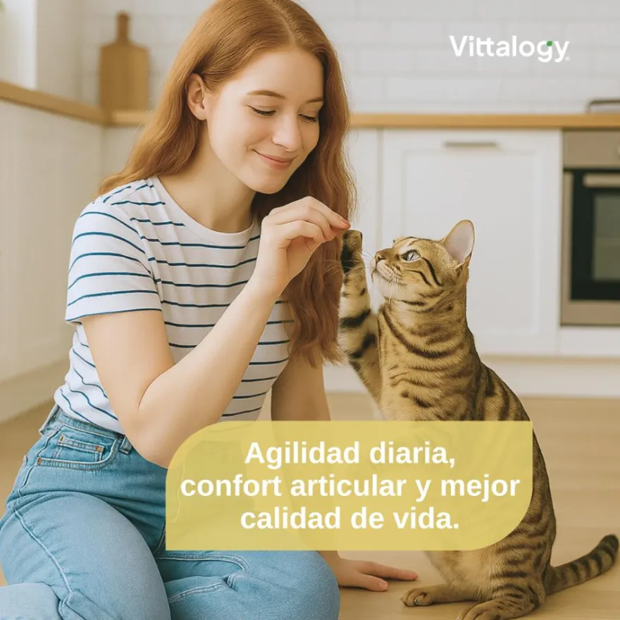 Vittalogy Condroprotector para Gatos 2x120 Cápsulas【PACK AHORRO】