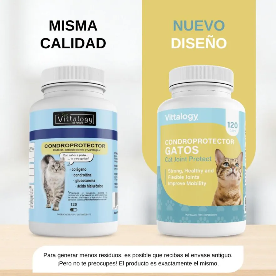 Vittalogy Condroprotector para Gatos 2x120 Cápsulas【PACK AHORRO】