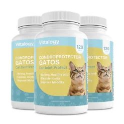 Vittalogy Condroprotector para Gatos 3x120 Cápsulas【PACK AHORRO】
