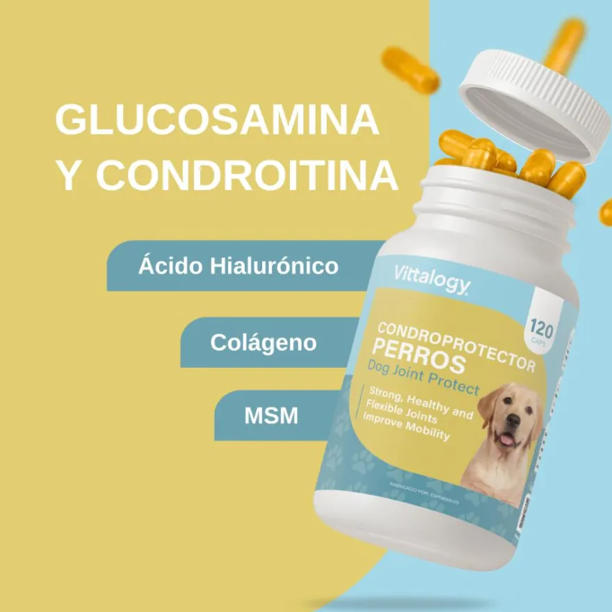 Vittalogy Condroprotector para Perros 2x120 Cápsulas【PACK AHORRO】