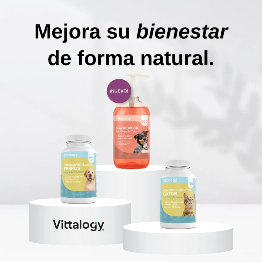 Vittalogy Condroprotector para Perros 3x120 Cápsulas【PACK AHORRO】