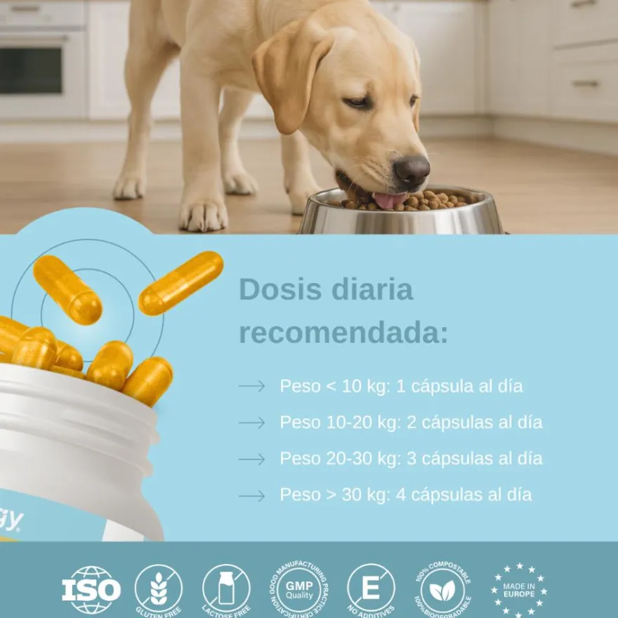 Vittalogy Condroprotector para Perros 3x120 Cápsulas【PACK AHORRO】