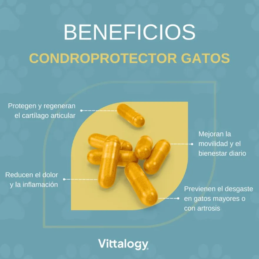 Vittalogy Condroprotector para Gatos 120 Cápsulas