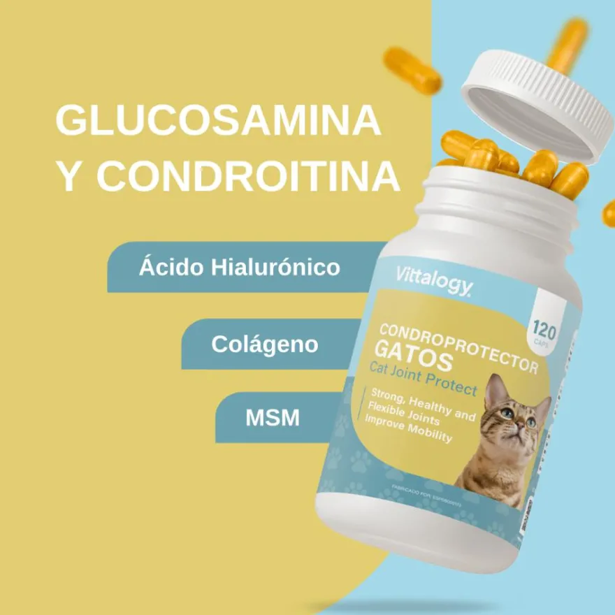 Vittalogy Condroprotector para Gatos 120 Cápsulas
