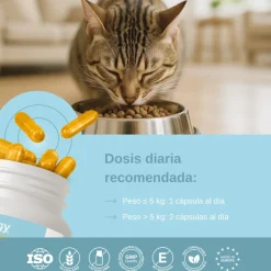 Vittalogy Condroprotector para Gatos 120 Cápsulas