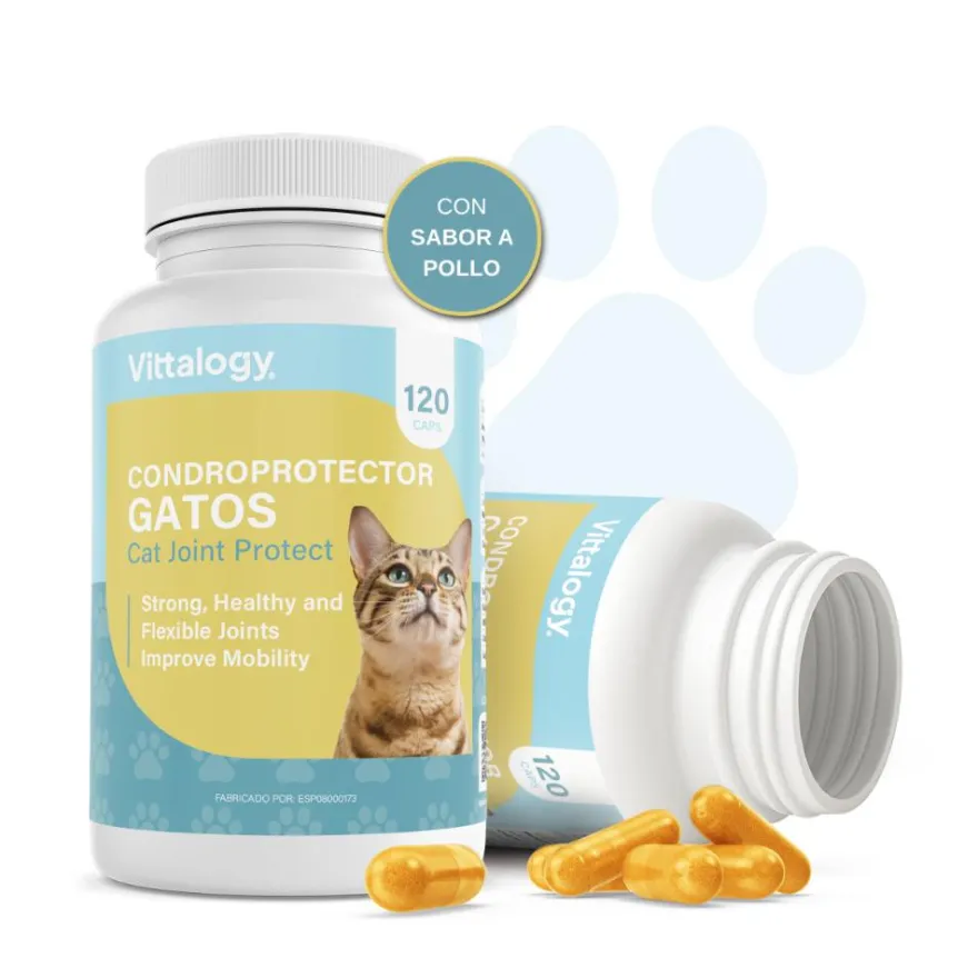 Vittalogy Condroprotector para Gatos 120 Cápsulas