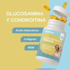 Vittalogy Condroprotector para Perros 120 Cápsulas