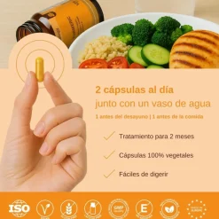 Vittalogy Cúrcuma Turmeric 120 Cápsulas