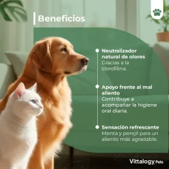 Vittalogy Halitosis 100 gr