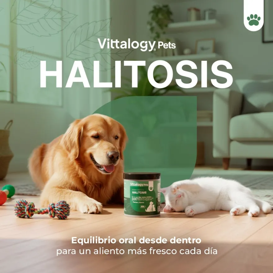 Vittalogy Halitosis 3x100 gr【PACK AHORRO】