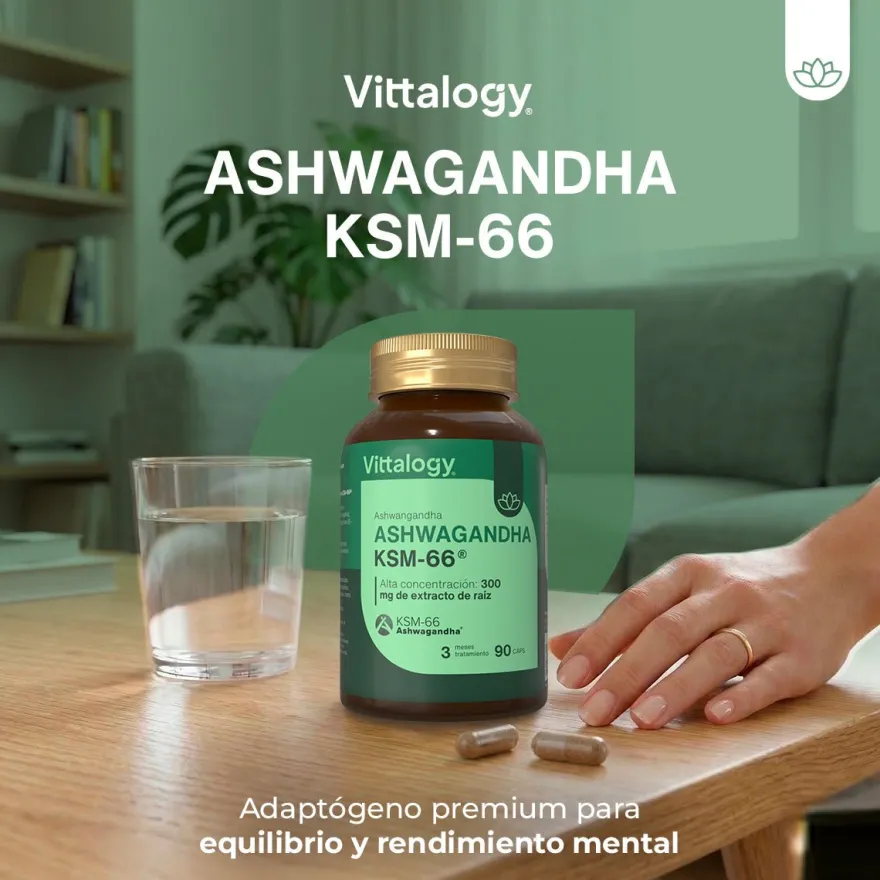Vittalogy KSM-66 Ashwagandha - 90 cápsulas
