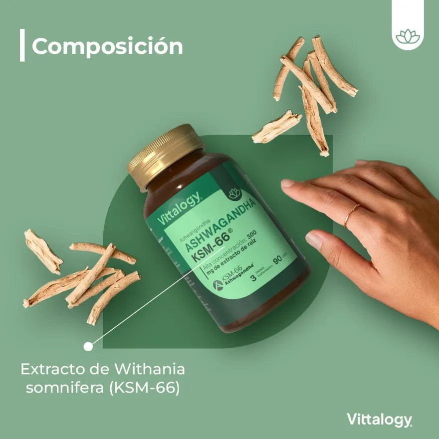 Vittalogy KSM-66 Ashwagandha - 90 cápsulas