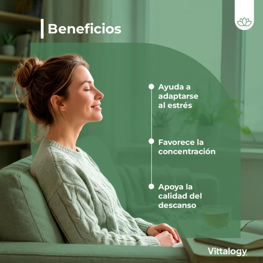 Vittalogy KSM-66 Ashwagandha - 90 cápsulas (Pack de 3)