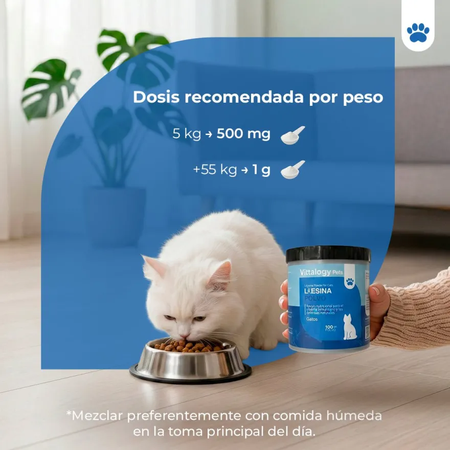 Vittalogy L-Lisina Polvo 100 gr
