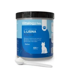 Vittalogy L-Lisina Polvo 100 gr