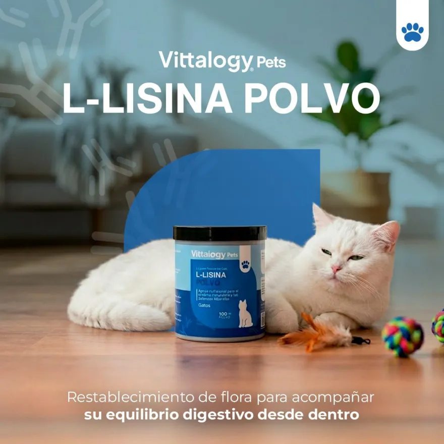 Vittalogy L-Lisina Polvo 100 gr